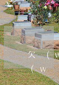 欠網(wǎng)貸補銀行(銀行貸款償還網(wǎng)貸)
