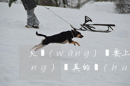 欠網(wǎng)貸要上門嗎(欠了網(wǎng)貸真的會(huì)有人上門)