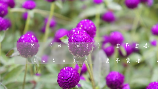 欠網(wǎng)貸要不要告訴家里人(欠網(wǎng)貸要不要告訴家里人)