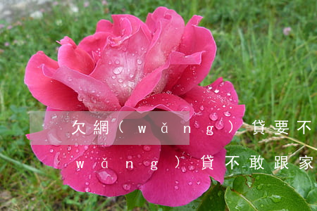欠網(wǎng)貸要不要跟家人說(欠網(wǎng)貸不敢跟家人說)