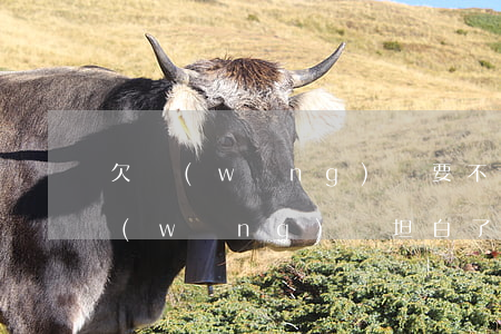 欠網(wǎng)貸要不要跟家里坦白(欠網(wǎng)貸坦白了家人不管)
