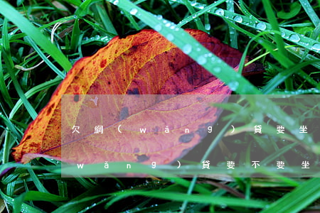 欠網(wǎng)貸要坐牢是真的嗎(欠網(wǎng)貸要不要坐牢)