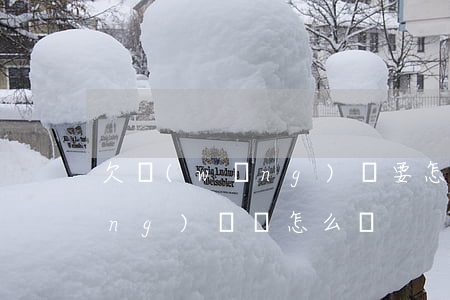 欠網(wǎng)貸要怎么處理(欠網(wǎng)貸該怎么辦)