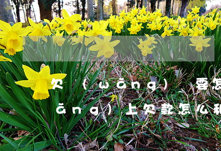 欠網(wǎng)貸要怎么跟父母說(網(wǎng)上欠款怎么和父母說)