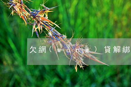 欠網(wǎng)貸解綁銀行卡還會扣錢嗎