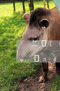 欠網(wǎng)貸訴訟幾天立案(欠網(wǎng)貸被起訴立案后會怎樣)