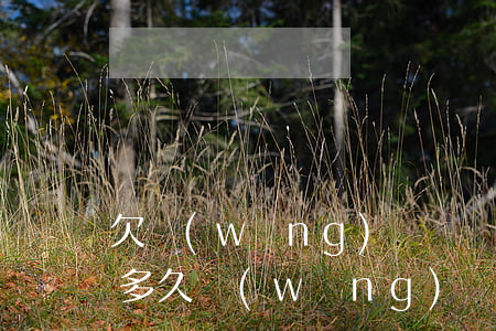 欠網(wǎng)貸訴訟時(shí)效是多久(網(wǎng)貸欠款的訴訟時(shí)效是幾年)