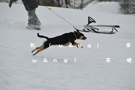 欠網(wǎng)貸該不該把車賣了(欠網(wǎng)貸該不該把車賣了還網(wǎng)貸)