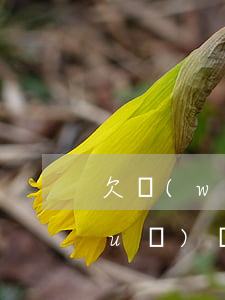 欠網(wǎng)貸該怎么和父母說(shuō)(網(wǎng)貸欠錢怎么跟爸媽說(shuō))