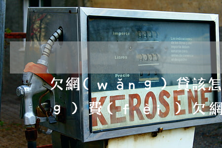 欠網(wǎng)貸該怎么給撫養(yǎng)費(fèi)(欠網(wǎng)貸的錢要還嗎)