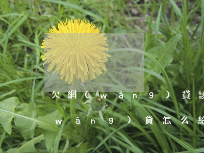 欠網(wǎng)貸該怎么跟家人說(欠網(wǎng)貸怎么給家里人說)