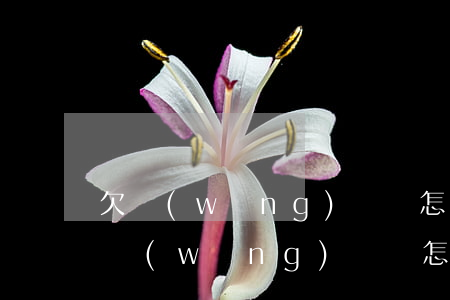 欠網(wǎng)貸該怎樣向家里人坦白(欠網(wǎng)貸該怎樣向家里人坦白)