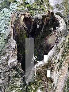 欠網(wǎng)貸該給父母說(shuō)嗎(欠網(wǎng)貸會(huì)給父母打電話嗎)