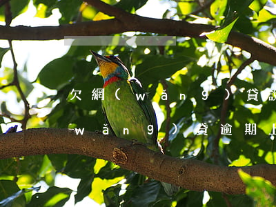 欠網(wǎng)貸說上門是真的假的(網(wǎng)貸逾期上門是真是假)