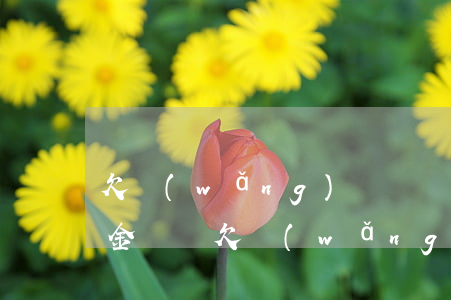 欠網(wǎng)貸說凍結(jié)公積金賬戶(欠網(wǎng)貸能凍結(jié)我的賬戶嗎)