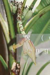 欠網(wǎng)貸說是上門催款(欠網(wǎng)貸上門催收合法嗎)