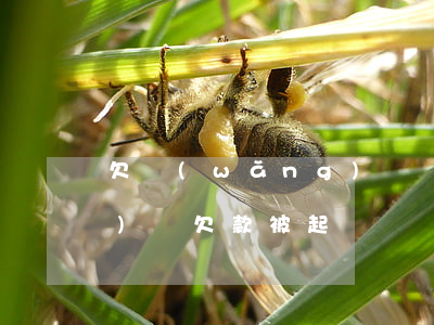 欠網(wǎng)貸說起訴我(網(wǎng)貸欠款被起訴)