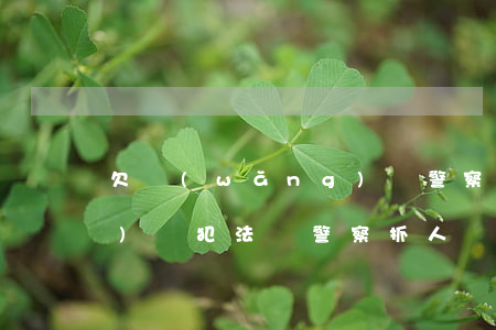 欠網(wǎng)貸警察抓(欠網(wǎng)貸犯法嗎警察抓人嗎)