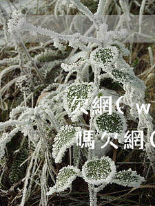 欠網(wǎng)貸警察會(huì)上門嗎(欠網(wǎng)貸的錢會(huì)不會(huì)上門)