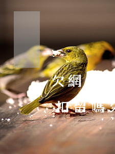 欠網(wǎng)貸警察有權(quán)扣留嗎(欠網(wǎng)貸會(huì)有警察找嗎)