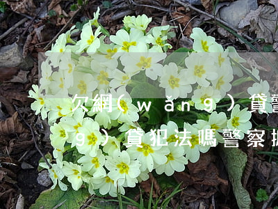 欠網(wǎng)貸警察管嗎(欠網(wǎng)貸犯法嗎警察抓人嗎)
