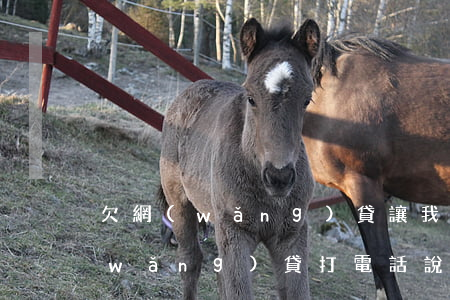 欠網(wǎng)貸讓我去法院開庭(欠網(wǎng)貸打電話說開庭是真的嗎)