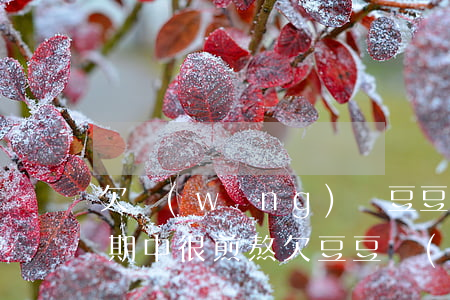 欠網(wǎng)貸豆豆錢(qián)逾期中很煎熬(欠豆豆錢(qián)5萬(wàn)已還15000逾期現(xiàn)在要我還54000)