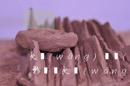 欠網(wǎng)貸買(mǎi)房貸款有影響嗎(欠網(wǎng)貸買(mǎi)房貸款有影響嗎)