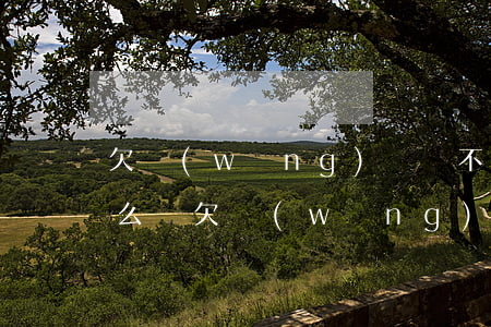 欠網(wǎng)貸買不了機(jī)票怎么辦(欠網(wǎng)貸可以買機(jī)票嗎)
