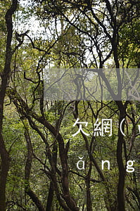 欠網(wǎng)貸買手機(jī)(網(wǎng)貸買手機(jī)不還怎么辦)