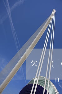 欠網(wǎng)貸買車可以分期嗎(欠網(wǎng)貸逾期可以分期買車嗎)