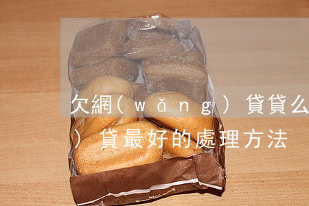 欠網(wǎng)貸貸么辦(欠網(wǎng)貸最好的處理方法)