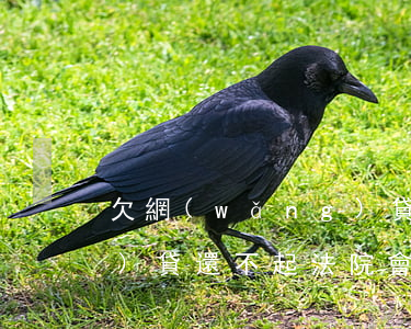 欠網(wǎng)貸賣了房子(網(wǎng)貸還不起法院會(huì)強(qiáng)制賣房子嗎)