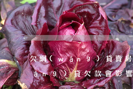 欠網(wǎng)貸賣房子受影響嗎(網(wǎng)貸欠款會影響買房)