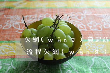 欠網(wǎng)貸起訴到執(zhí)行流程(欠網(wǎng)貸被起訴多久強制執(zhí)行)