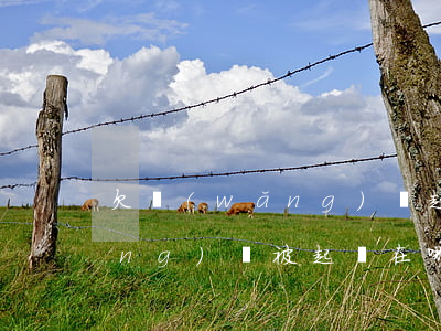 欠網(wǎng)貸起訴到法院(欠網(wǎng)貸被起訴在哪開庭)