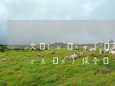 欠網(wǎng)貸起訴前可以申請財產(chǎn)保全嗎-欠網(wǎng)貸起訴前可以申請財產(chǎn)保全嗎知乎