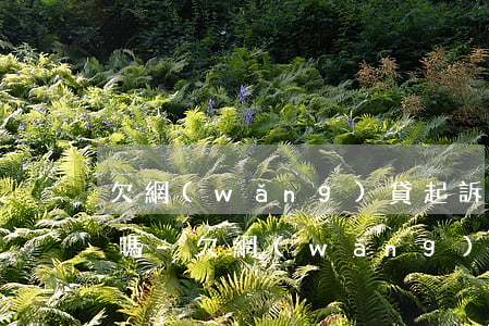 欠網(wǎng)貸起訴前律師會給打電話嗎-欠網(wǎng)貸起訴前律師會給打電話嗎是真的嗎