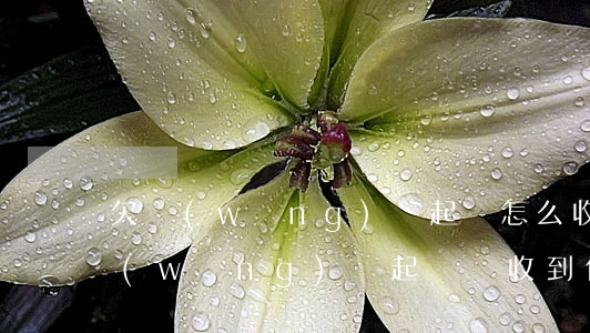 欠網(wǎng)貸起訴怎么收到起訴(欠網(wǎng)貸起訴會收到什么樣通知)