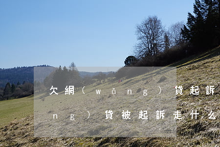 欠網(wǎng)貸起訴怎么辦(欠網(wǎng)貸被起訴走什么流程)