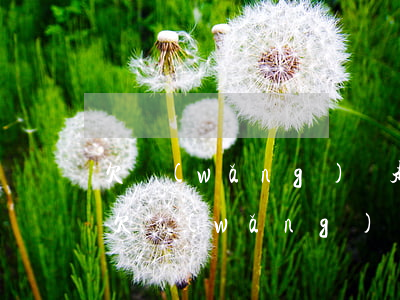 欠網(wǎng)貸起訴會(huì)怎樣(欠網(wǎng)貸被起訴了一般會(huì)怎么判)