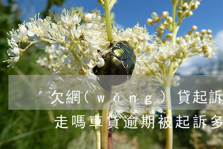 欠網(wǎng)貸起訴期名下有車會被拖走嗎(車貸逾期被起訴多久會拖車)