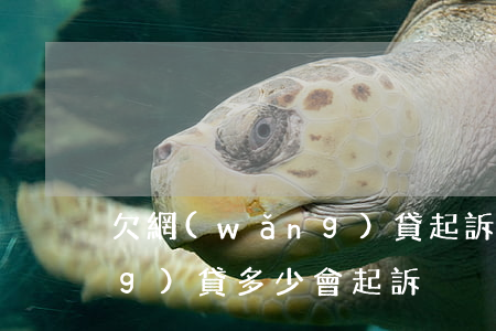 欠網(wǎng)貸起訴條件(欠網(wǎng)貸多少會起訴)