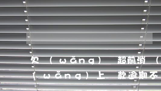 欠網(wǎng)貸超前消費(fèi)(網(wǎng)上貸款逾期不還會(huì)怎樣)