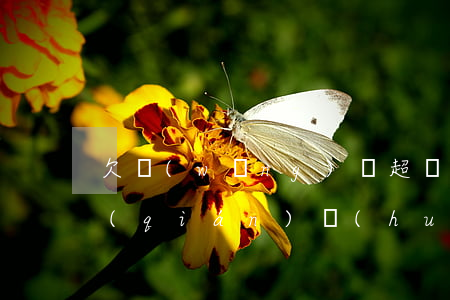 欠網(wǎng)貸超過(guò)多少錢(qián)會(huì)上征信(欠網(wǎng)貸超過(guò)多少錢(qián)會(huì)上征信)