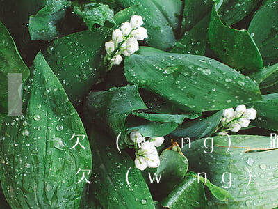 欠網(wǎng)貸跑路可以去廠里上班么(欠網(wǎng)貸去廠里上班會被找到嗎)