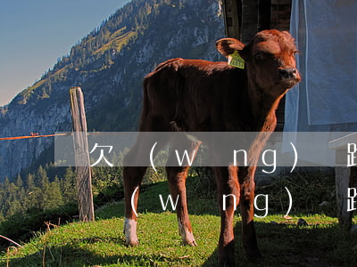 欠網(wǎng)貸跑路可以用身份證嗎(欠網(wǎng)貸跑路身份證能用嗎)