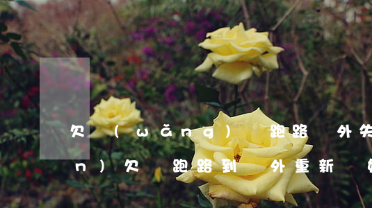 欠網(wǎng)貸跑路國外失聯(lián)(欠債跑路到國外重新開始)