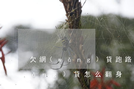欠網(wǎng)貸跑路如何翻身(欠網(wǎng)貸怎么翻身)