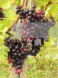 欠網(wǎng)貸跑路有什么影響(欠網(wǎng)貸的后果)